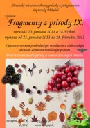 Plag�t V�stava Fragmenty z pr�rody IX. (jpg)